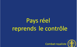 Combat royaliste 2