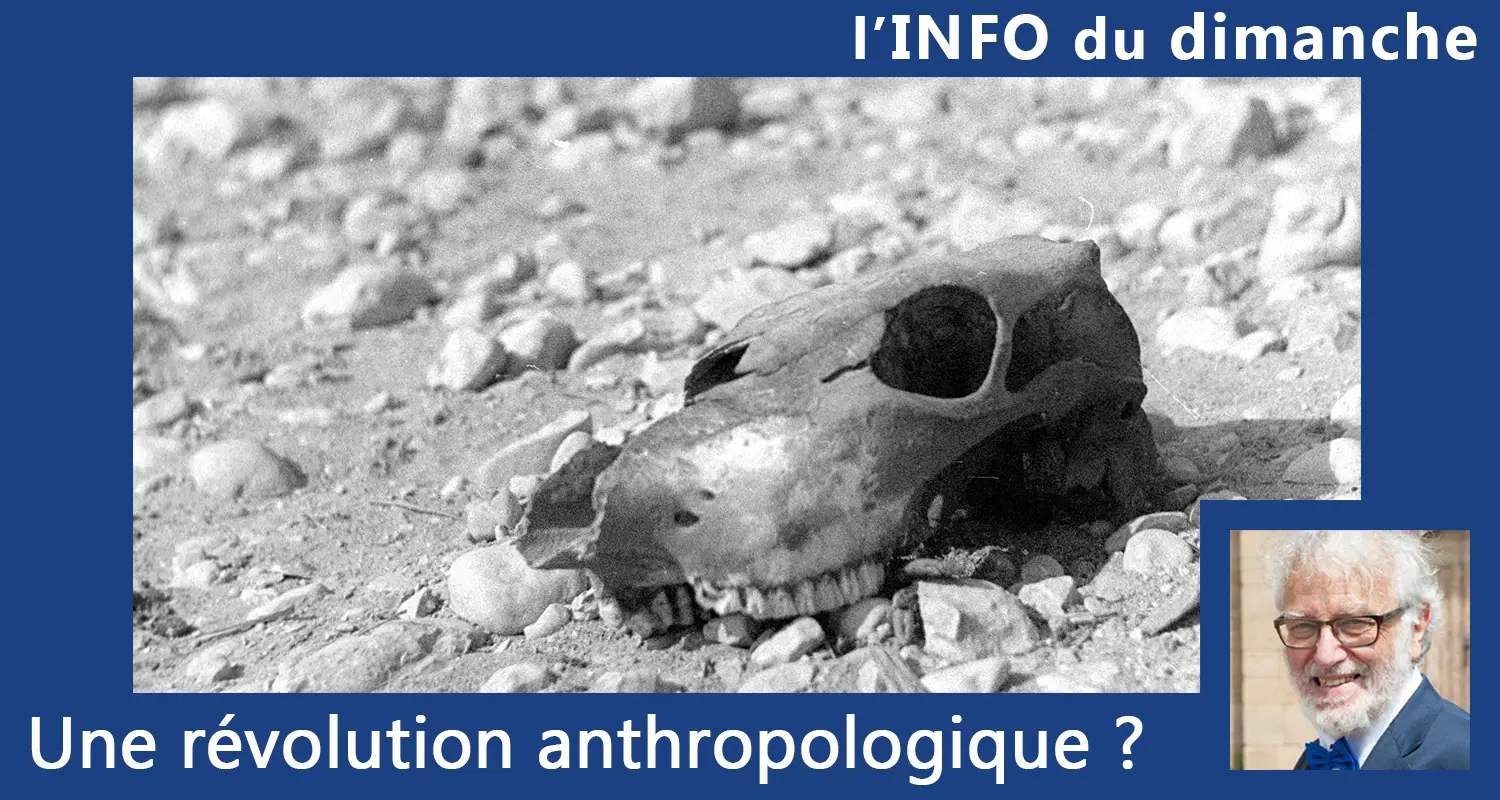 You are currently viewing Une révolution anthropologique ?