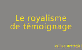 Cellule Stratégie 3