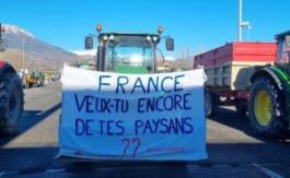 Le traité Mercosur contre l’agriculture française