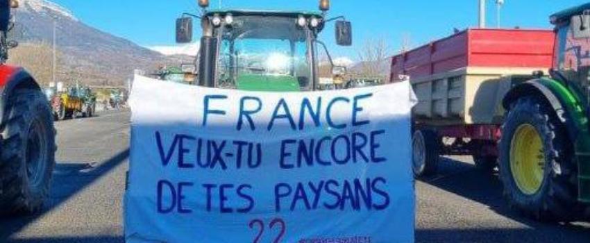 Le traité Mercosur contre l’agriculture française